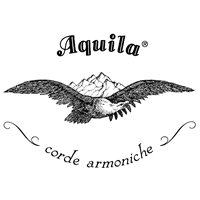 Aquila