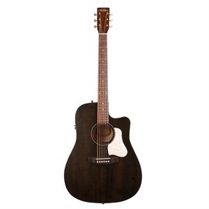 ART&LUTHERIE - 051700 - Americana - NOIR TERNI - CW Presys II