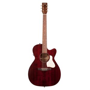 ART&LUTHERIE - 051786 - Legacy - CW Presys II - Tennessee Red