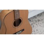 SEAGULL - Guitare acoustique S6 Collection 1982 