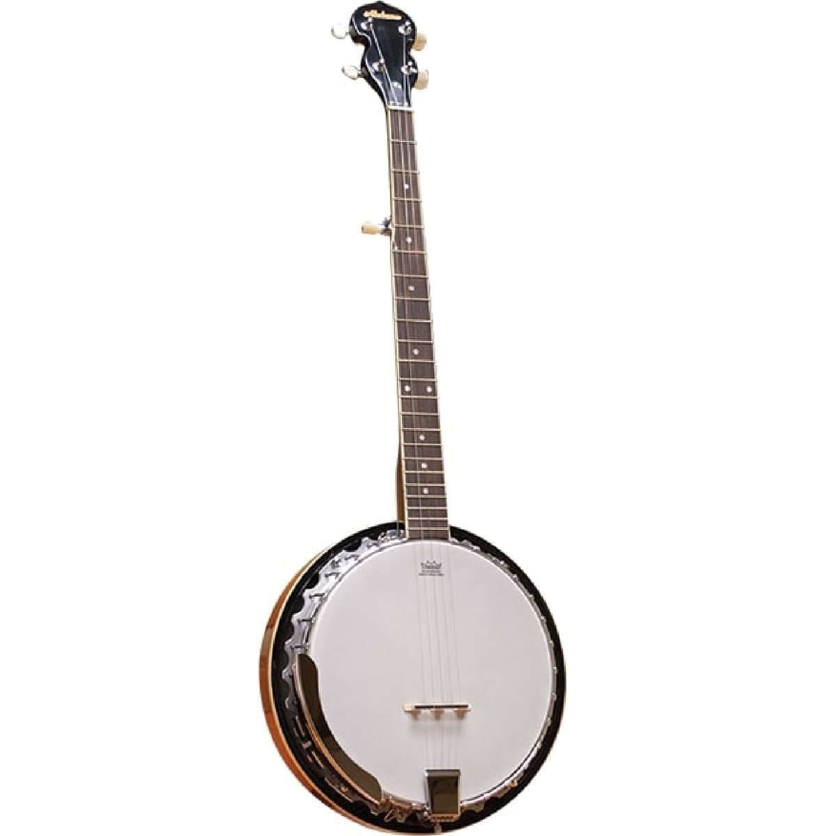 ALABAMA - BANJO ALB25 - 5 CORDES