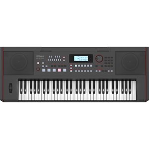 ROLAND - E-X50 - 61-key Arranger - Noir